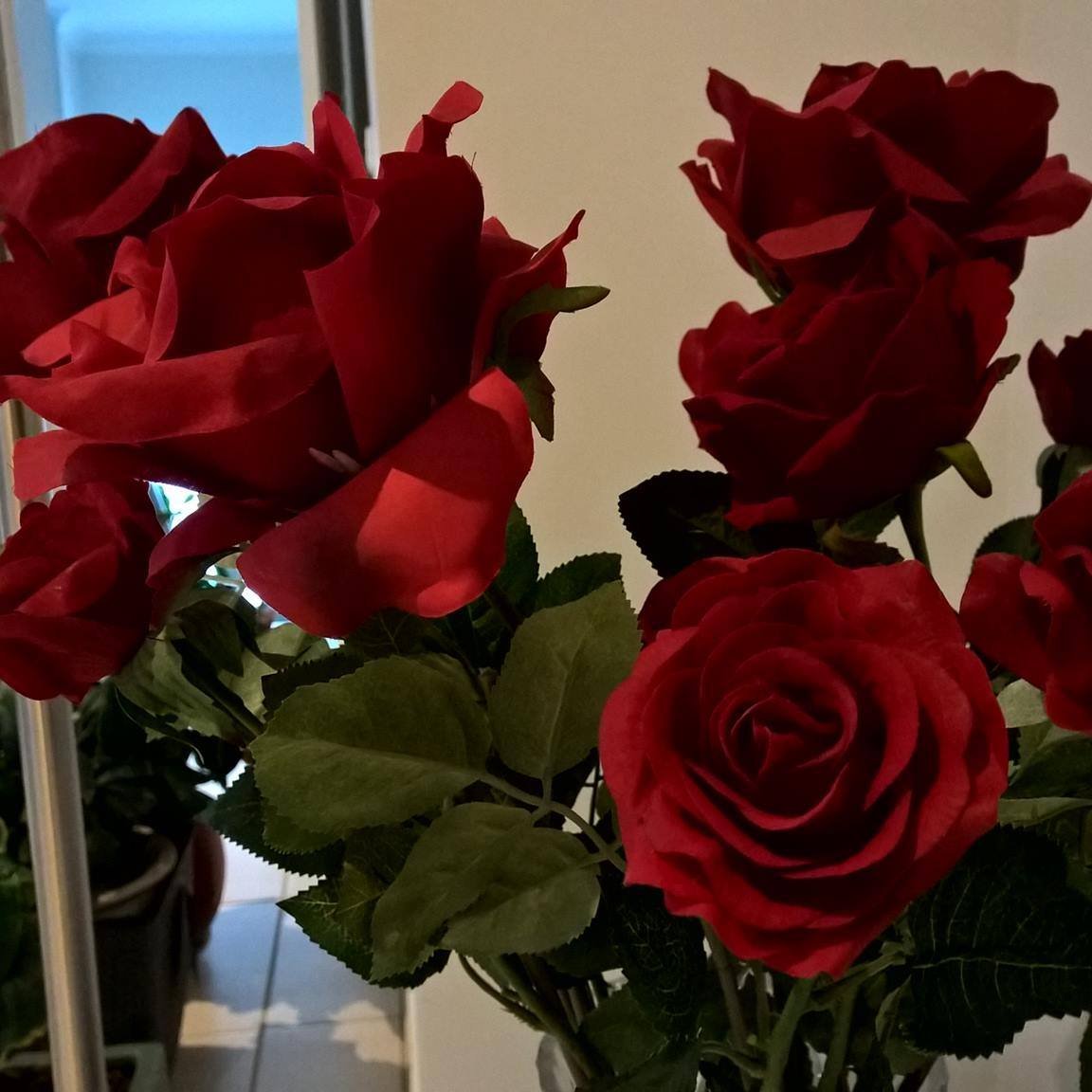 Red roses